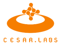 Cesar Labs